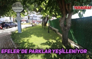 Efeler’de parklar yeşilleniyor