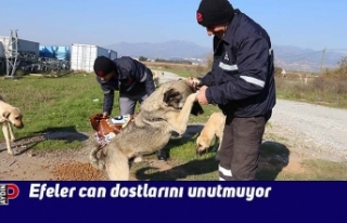 Efeler can dostlarını unutmuyor