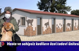 Hasta ve sahipsiz kedilere özel tedavi ünitesi