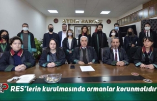 RES’lerin kurulmasında ormanlar korunmalıdır