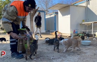Kuşadası Belediyesi soğuk havada can dostlarını...