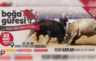 Koçarlı Boğa Güreşi Festivali Pazar