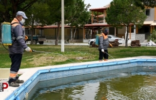 Kuşadası’nda vektörel mücadeleden taviz yok