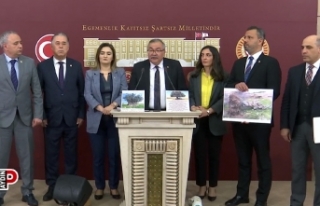 CHP’li Bülbül’den Danıştay’a Zeytinlik Çağrısı:...