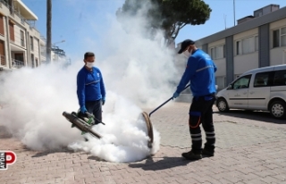 Didim’de ilaçlama çalışmaları başladı