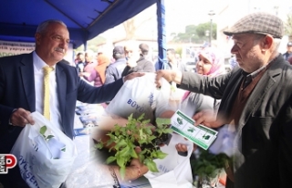 Sultanhisar'da Ata Tohumu fideleri dağıtıldı