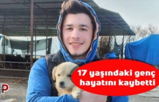 17 yaşındaki genç hayatını kaybetti