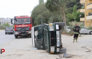 Otomobile giren böcek kazaya neden oldu