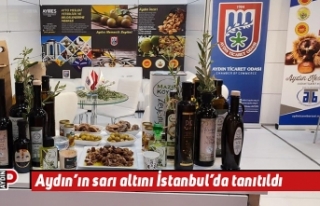 Aydın’ın sarı altını İstanbul’da tanıtıldı