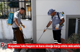 Kuşadası’nda haşere ve kara sineğe karşı etkin...