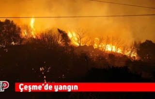 Çeşme’de yangın