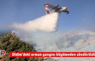 Didim’deki orman yangını büyümeden söndürüldü