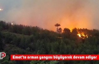 Emet'te orman yangını büyüyerek devam ediyor