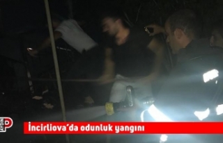 İncirliova’da odunluk yangını