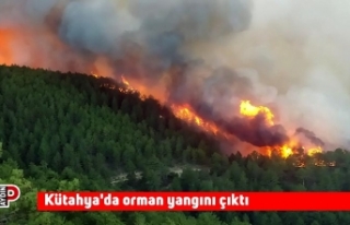 Kütahya'da orman yangını çıktı