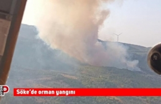 Söke’de orman yangına 7 helikopter ve 4 uçakla...