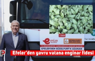 Efeler’den yavru vatana enginar fidesi