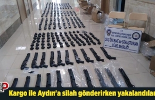 Kargo ile Aydın'a silah gönderirken yakalandılar