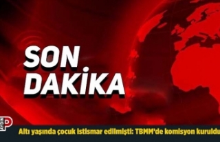 Altı yaşında çocuk istismar edilmişti: TBMM’de...