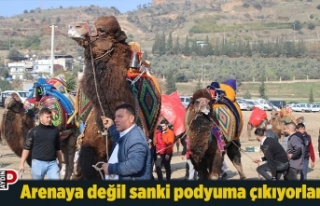 Arenaya değil sanki podyuma çıkıyorlar