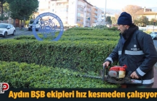 Aydın BŞB ekipleri hız kesmeden çalışıyor