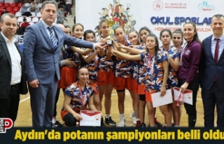 Aydın'da potanın şampiyonları belli oldu