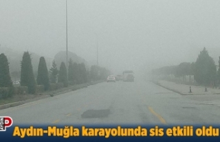 Aydın-Muğla karayolunda sis etkili oldu