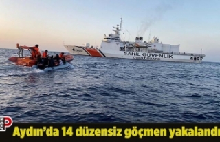 Aydın’da 14 düzensiz göçmen yakalandı