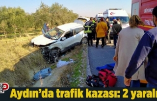Aydın’da trafik kazası: 2 yaralı