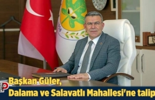Başkan Güler, Dalama ve Salavatlı Mahallesi'ne...