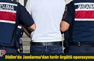 Didim'de Jandarma’dan terör örgütü operasyonu