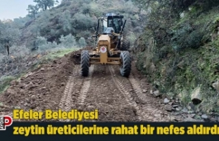 Efeler Belediyesi zeytin üreticilerine rahat bir...