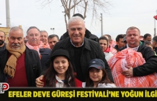 EFELER DEVE GÜREŞİ FESTİVALİ’NE YOĞUN İLGİ