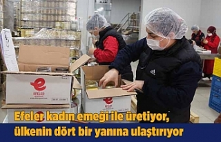 Efeler kadın emeği ile üretiyor, ülkenin dört...