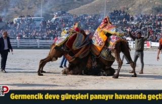 Germencik deve güreşleri panayır havasında geçti