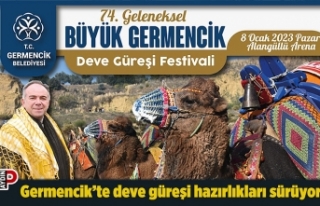 Germencik’te deve güreşi hazırlıkları sürüyor