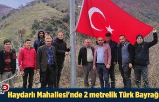 Haydarlı Mahallesi'nde 2 metrelik Türk Bayrağı