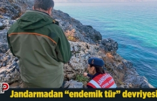 Jandarmadan “endemik tür” devriyesi