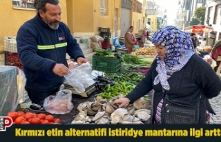 Kırmızı etin alternatifi istiridye mantarına ilgi...