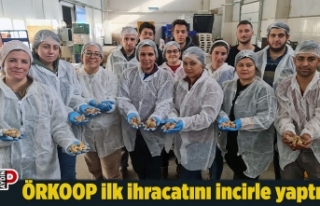 ÖRKOOP ilk ihracatını incirle yaptı