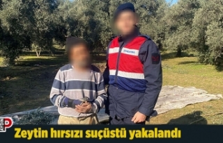 Zeytin hırsızı suçüstü yakalandı