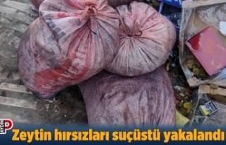 Zeytin hırsızları suçüstü yakalandı