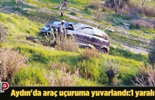 Aydın'da araç uçuruma yuvarlandı:1 yaralı