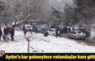 Aydın’a kar gelmeyince vatandaşlar kara gitti