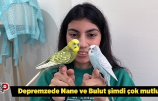 Depremzede Nane ve Bulut şimdi çok mutlu