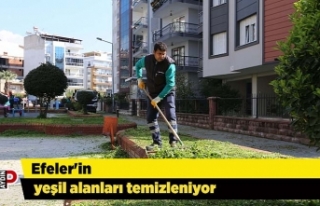 Efeler'in yeşil alanları temizleniyor