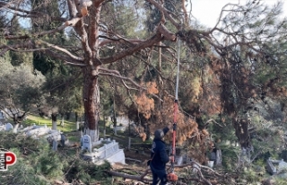 Germencik'teki mezarlıklarda bayram temizliği