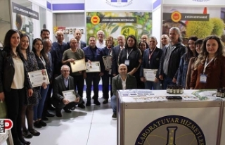 Memecik zeytinyağında kaliteli ürünler belirlendi