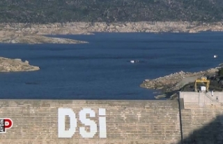 Son zamanlarda yağan yağmurlar yüz güldürdü