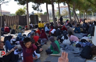 Umuda yolculuk kamyon kasasında sona erdi